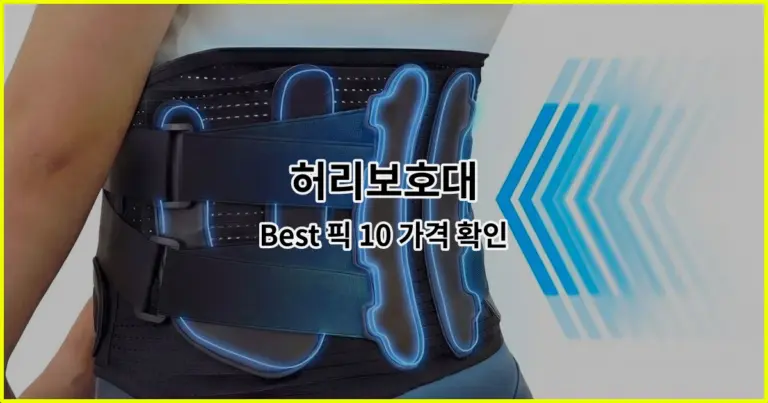 허리보호대 Best 픽 10 가격 확인