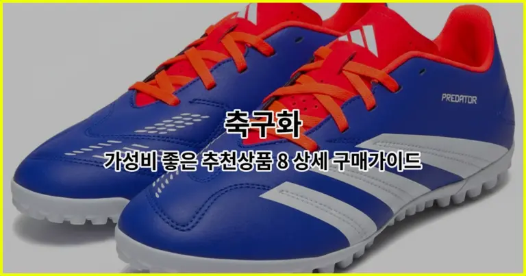 축구화 가성비 좋은 추천상품 8 상세 구매가이드